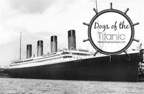 Ticket prices and accommodations on board the titanic. The Dogs of the Titanic | Titanic, Pet travel, Dogs