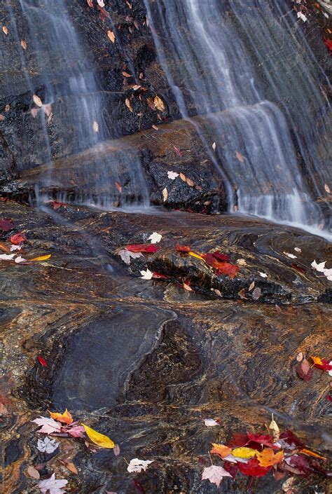 Yellowstone Falls Waterfall Striated Granite Autumn Leaves Shining