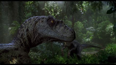 Jurassic World Velociraptor Wallpaper Images