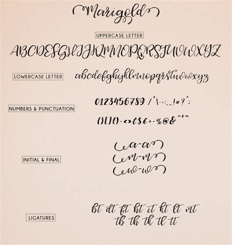 The magnolia script font has been downloaded 16,506 times. Modern Calligraphy Typeface Marigold - Design Cuts