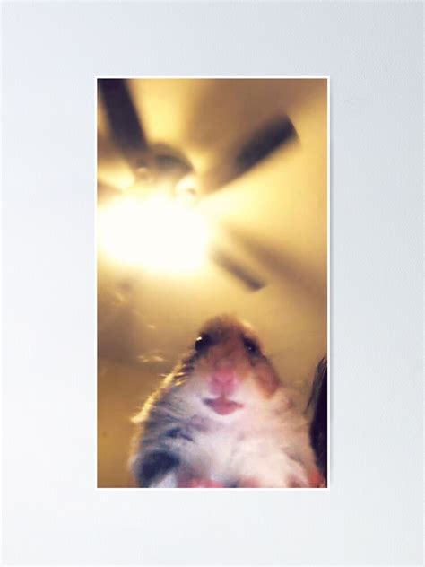 Best Hamster Meme Pfp