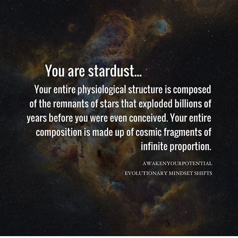 The Awakened State The Universe Is Inside Of You Stardust Quotes