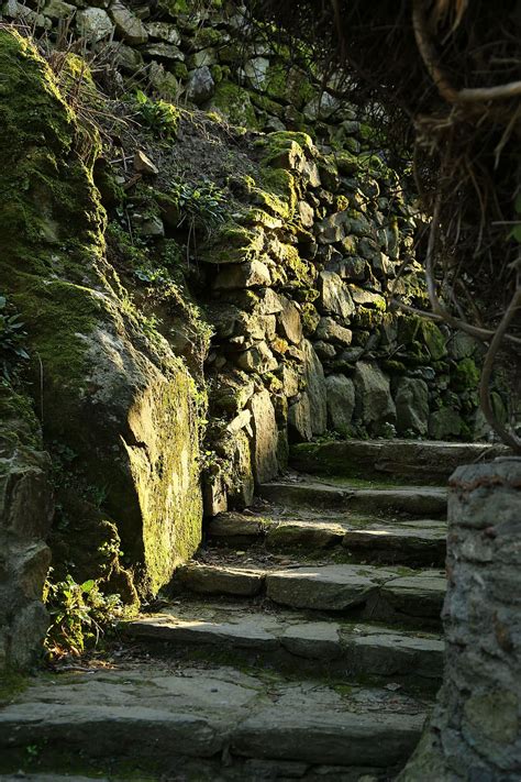 Woods Forest Stone Stairs Mossy Stairs Moss Calming Sunlight