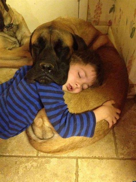 Dogs And Babies Sleeping Are What The World Needs Now
