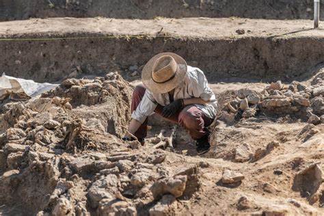 What Archaeology Is And How To Become An Archaeologist