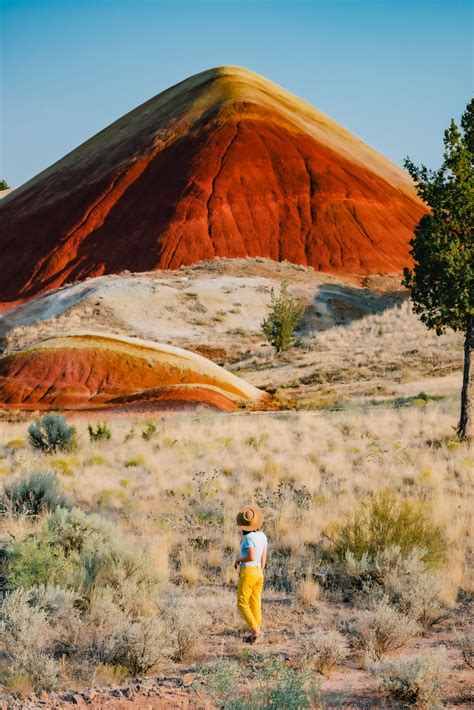 A Stunning Guide To Oregons Painted Hills Photos And Tips
