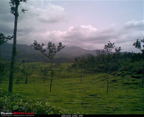 You can download free photos and use where you want. Vagamon heights - A surprise package - Page 3 - Team-BHP
