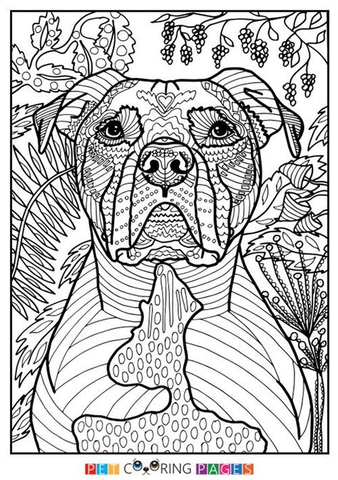 Get This Summer Coloring Pages To Print Out For Adults 03127