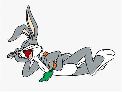 Bunny Bugs Sleeping Cartoon Clipart Clipartkey