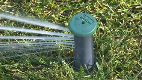 Match your grass to use less water. IrriGreen Genius™ Irrigation System Saves Water, Saves ...