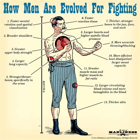how men are evolved for fighting according to science
