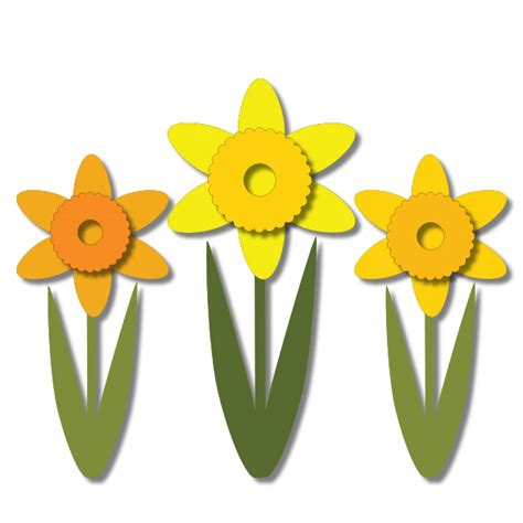 Download Daffodil svg for free - Designlooter 2020  ‍ 
