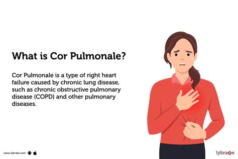 Cor Pulmonale Causes Symptoms Treatment And Cost