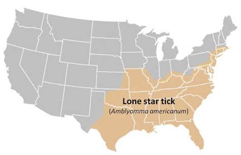 Lone Star Tick Distribution Map Of United States The Tick App