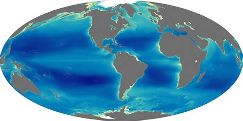 Nines Years Of Ocean Chlorophyll