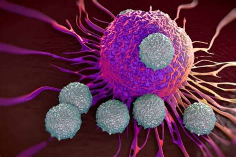 Special T Cells That Target Solid Tumors Offer Potential Treatment For