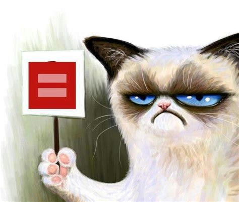 Equal Rights Yes His One And Only Yes Grumpy Cat
