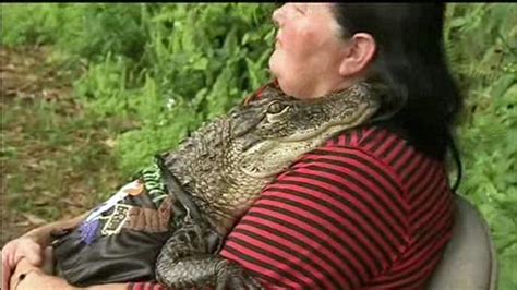 Florida Woman Fights To Keep Pet Alligator Rambo At Home