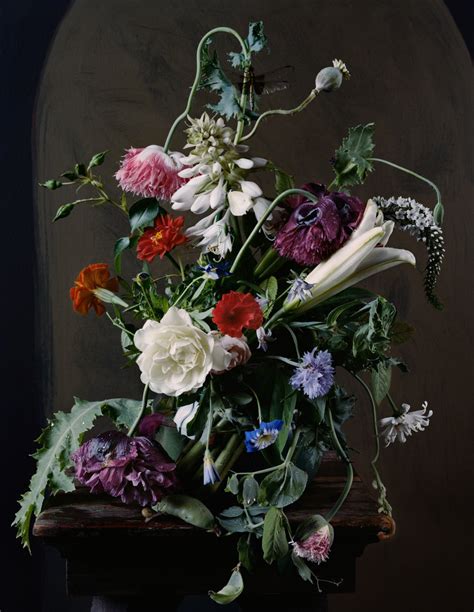 Floral Still Lifes By Sharon Core