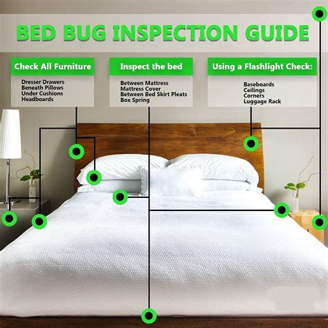 Bed Bugs Where Do They Hide