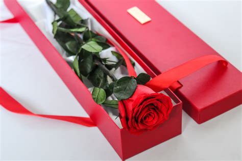 The perfect gift is the gift of stem! Forever Yours Xo - Single Long Stem Rose Box - Fleur House ...