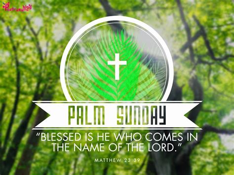 Palm Sunday Blessed Is He Who Comes I The Name Of The Lord Pictures
