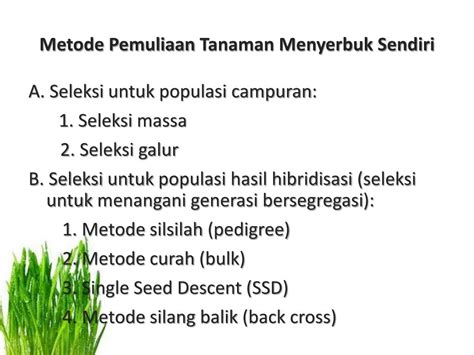 Ppt Metode Seleksi Pada Tanaman Menyerbuk Sendiri Powerpoint