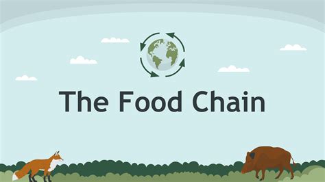 The Food Chain Google Slides Powerpoint