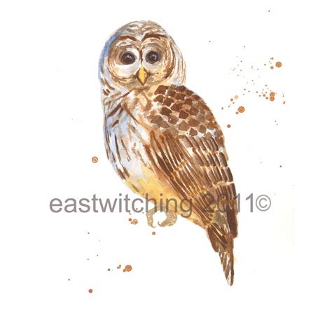 Cute Baby Owl Print Owl Decor Owl Owl Painting Nursery