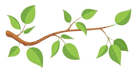 Tree Branch Leaves Vectors And Illustrations For Free Download Freepik