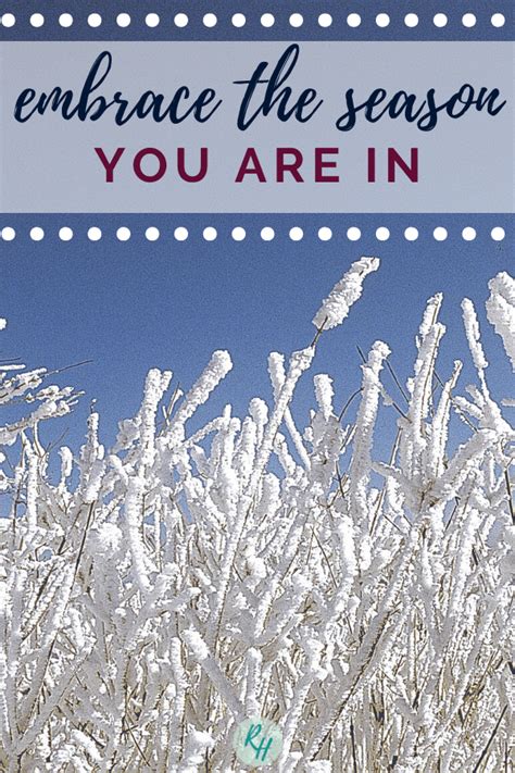 Embrace The Season You Are In Rebecca Hastings Christian Bloggers