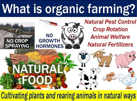 These guidelines include soil quality, how animals are raised, pest and weed control, and additives. Organic farming - definition and meaning - Market Business ...