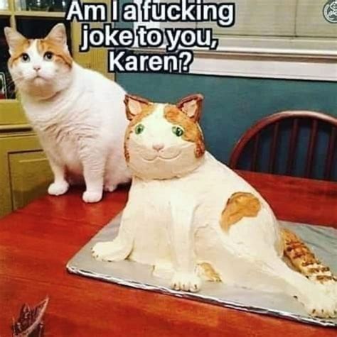 We did not find results for: Karen Cat Memes - So Funny! | Don't Brake My Art