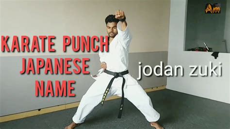 Visualizing Impact Karate Punches With Names And Pictures