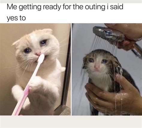 31 Watery Eyes Crying Cat Meme