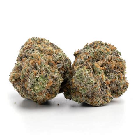 Grand Daddy Purple Strain Cannabismo Buy Weed Online Canada