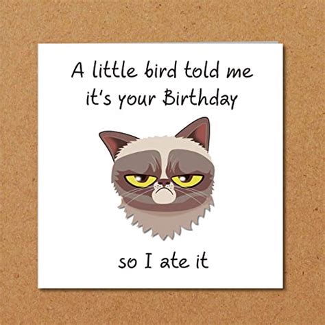 Grumpy Cat Birthday Card For Anyone Who Loves Cats Funny Humorous