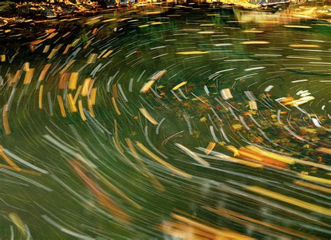 Swirling Leaves On Deckers Creek Photograph By Steven Heap Fine Art