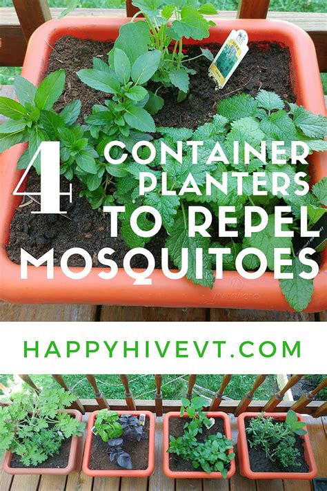 Repel Mosquitos With These Container Planters Mosquito Repelling