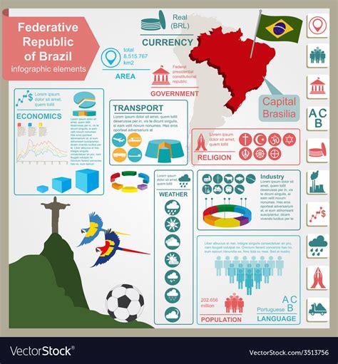 brazil infographics statistical data sights vector image
