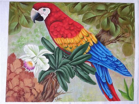 Parrot Different Colors Bird Acrylic Florence Nightingale Honduras