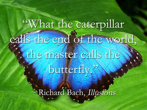 Quotes On Caterpillar Becoming Butterfly Flexmoms