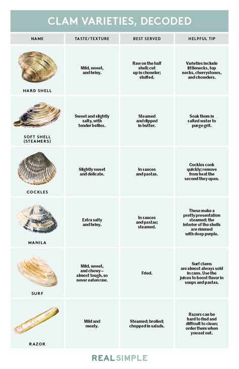 6 Types Of Clams And How They Are Best Served Clam Recipes Clams