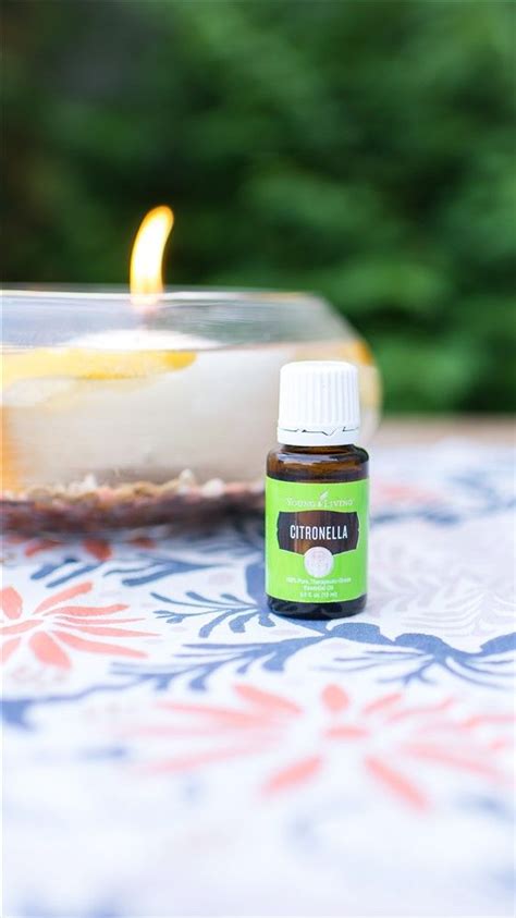 Diy Floating Citronella Candle Floating Citronella Candles