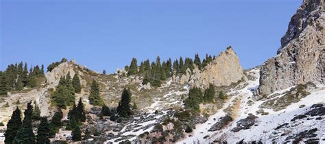 Rocky Mountains Of Zaili Alatau Covered By Snow With Line Of Pine Trees