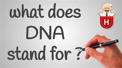 What Does Dna Stand For Youtube