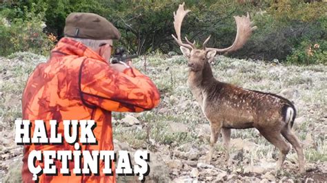 Fallow Deer Hunting Youtube