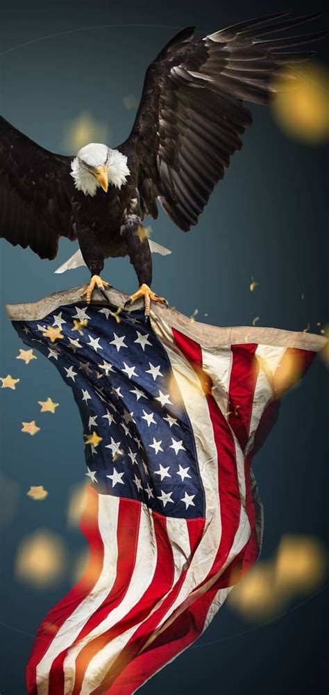 American Flag Pictures Eagle Pictures Art Pictures Photos America Flag Wallpaper Eagle