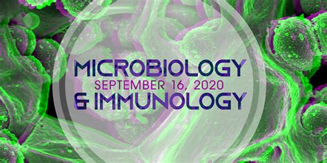 Microbiology And Immunology 2020 Microbiology Immunology Microbiology