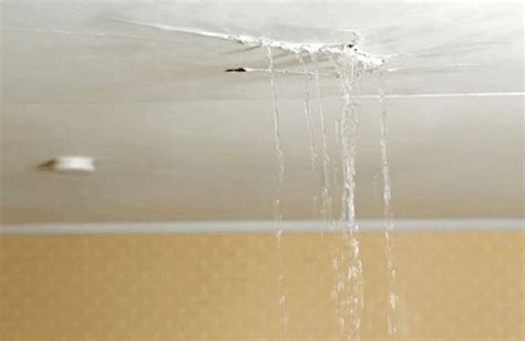 Handling Water Leakage From Ceiling In Your Apartmentvilla Hitech Fm